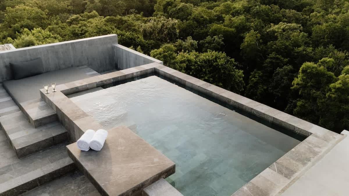 Barneys Ny Black Penthouse With Pool Apartment Tulum